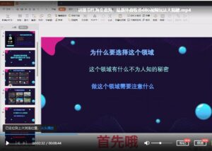 讲故事红海变蓝海,最新外面收费680视频玩法大揭秘-小蜜蜂资源网