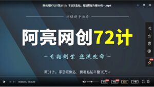 阿亮网创72计第31计:手动采集站,复制粘贴年赚10万+-小蜜蜂资源网