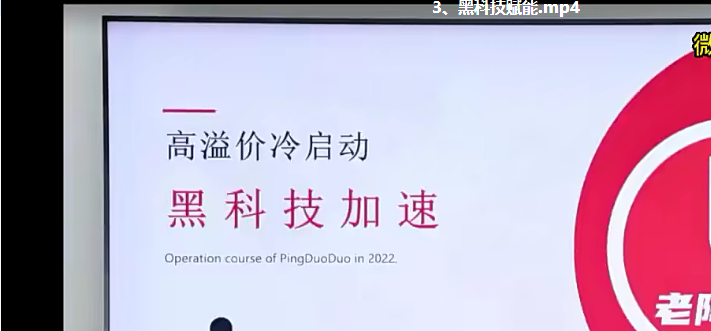 逸风-拼多多零基础新手小白入门到玩法实战《高溢价》异赛道爆单玩法实操课-小蜜蜂资源网