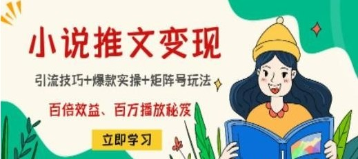 小说推文训练营 引流技巧+爆款实操+矩阵号玩法 百倍效益、百万播放秘笈-小蜜蜂资源网